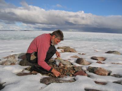 Un científico recoge muestras de plantas en el Ártico